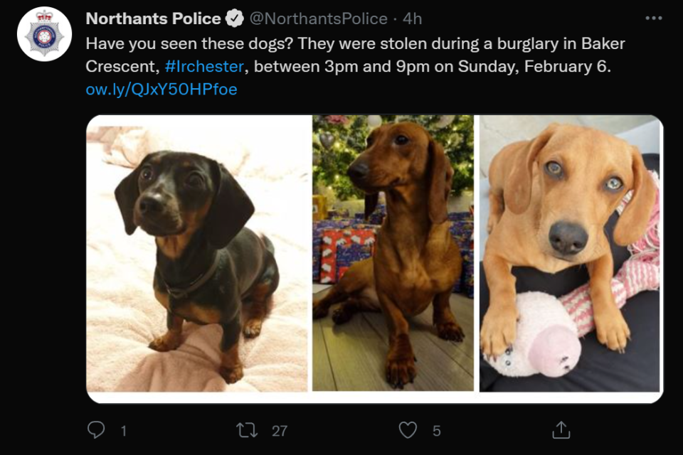 The police are appealing for information. (Twitter)