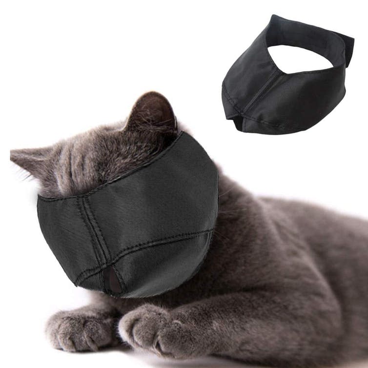 <span class="caption">Cat muzzle.</span> <span class="attribution"><a class="link " href="https://www.amazon.co.uk/Beikal-Grooming-Preventing-Scratches-Anti-biting/dp/B07KWXT8FW/ref=sr_1_9?keywords=cat+muzzle&qid=1560519714&s=gateway&sr=8-9" rel="nofollow noopener" target="_blank" data-ylk="slk:Amazon;elm:context_link;itc:0;sec:content-canvas">Amazon</a></span>