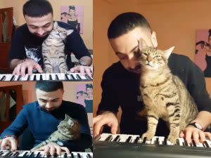 鋼琴貓最愛主人彈琴了，這是他倆一天之中最甜蜜的時光！ 