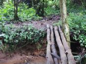 Abenteuer im Kigwena Forest - hier ist vieles noch ursprünglich und ohne moderne Einrichtungen für den Massentourismus. Foto: Carola Frentzen