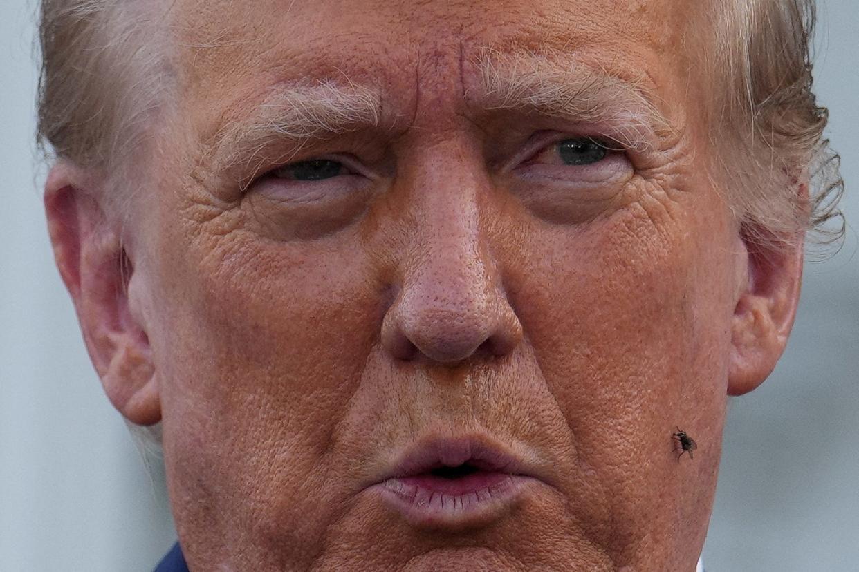 A fly sits on the face of Republican presidential nominee and former U.S. President Donald Trump as he speaks during a press conference at Trump National Golf Club, in Bedminster, New Jersey, on Thursday.