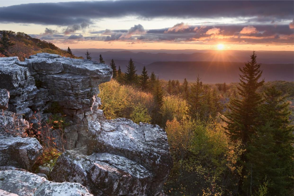 Monongahela National Forest