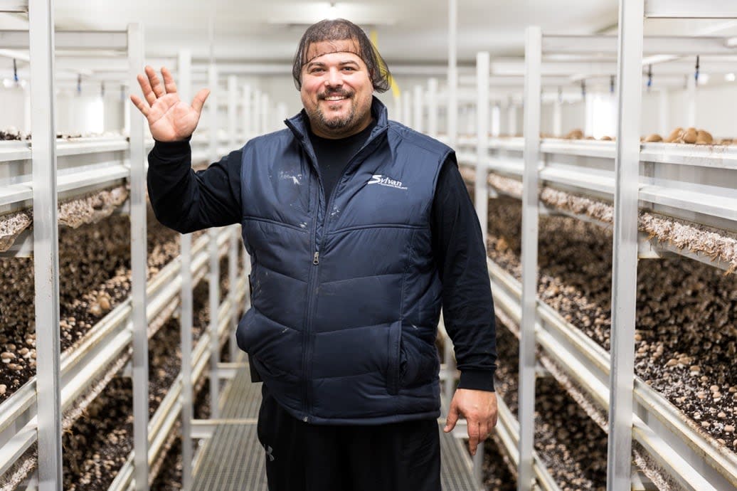 Mike Medeiros is the co-owner of Carleton Mushroom Farms.  (Submitted by Lufa Farms - image credit)