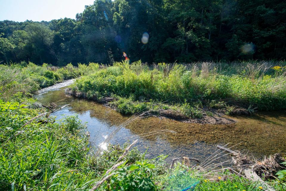 Dan Innerst said that the restored stream will one day support trout. The restored channel allows flood water to spread out over the vegetated bank. 