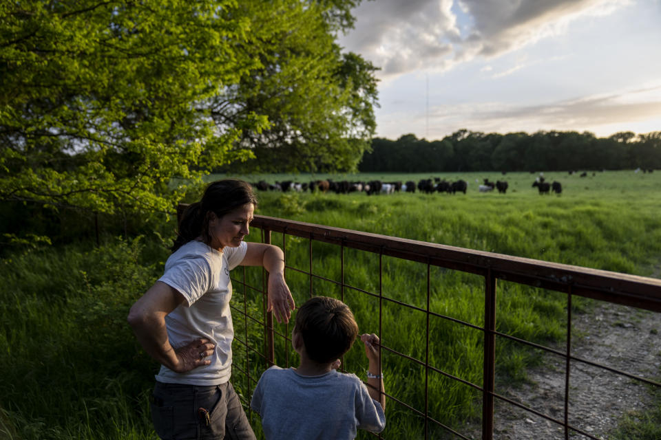 Meredith Ellis looks at cattle with her son, GC, 6, on their ranch in Rosston, Texas, Thursday, April 20, 2023. Ellis has seen how global warming is altering her land. She calls it an "existential crisis," the backdrop to the endless to-do list that comes with regenerative ranching. After a long day, she likes to take a moment to remember why she does it. Standing with her 6-year-old son on a cool evening, they watch over a gate as dozens of cows graze amid the lush grass and a setting sun. "I could stand here all evening," she says. "I just love them." (AP Photo/David Goldman)