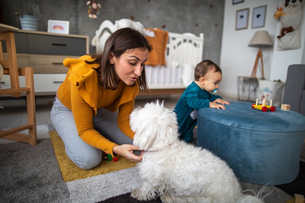 Mothers warn skimping on heating is causing damp and mould problems in their homes and leaving them with health problems such as respiratory issues (Getty/iStock)