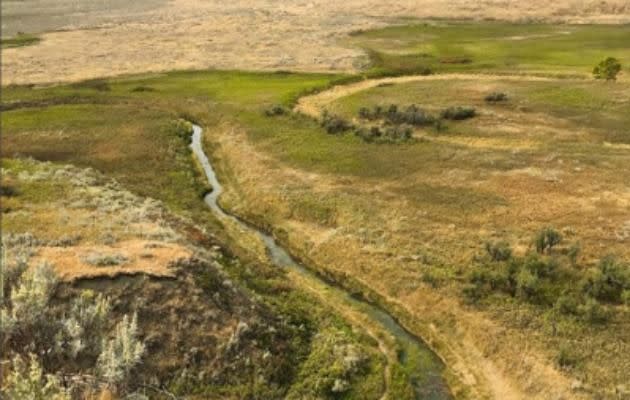 Visit the windswept fields of Grasslands National Park. Source: Instagram/ @vegabondpapa