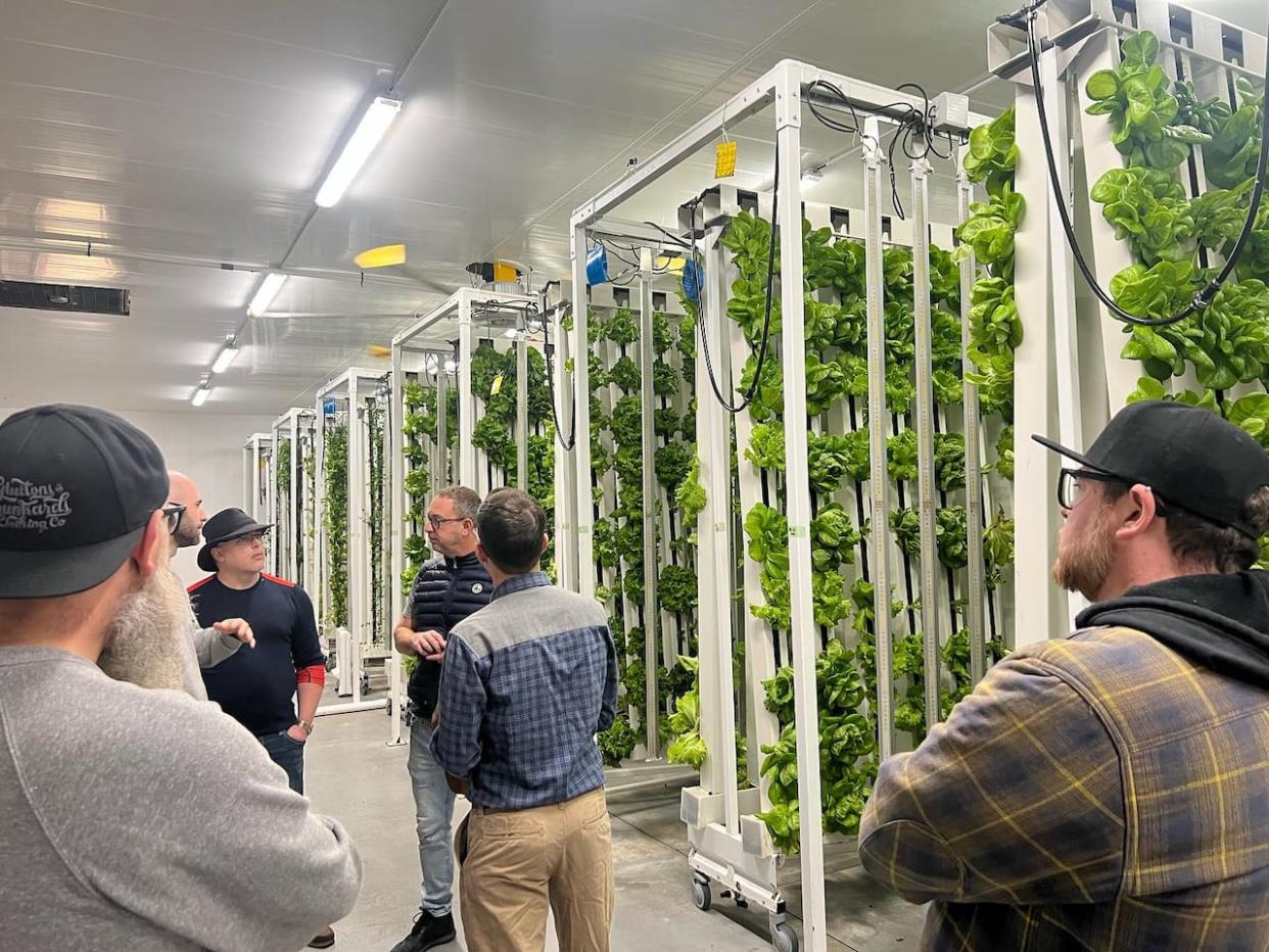 The Newfoundland delegation toured this hydroponic farm in St. Pierre. (Fork Restaurant/Facebook - image credit)