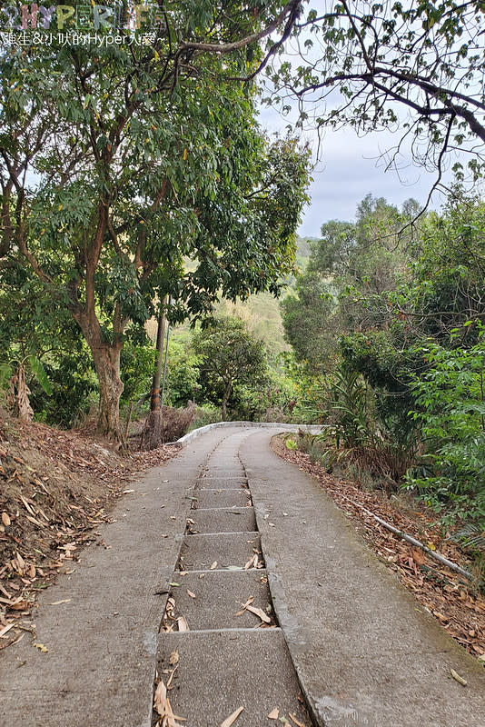 台中大坑六號七號登山步道