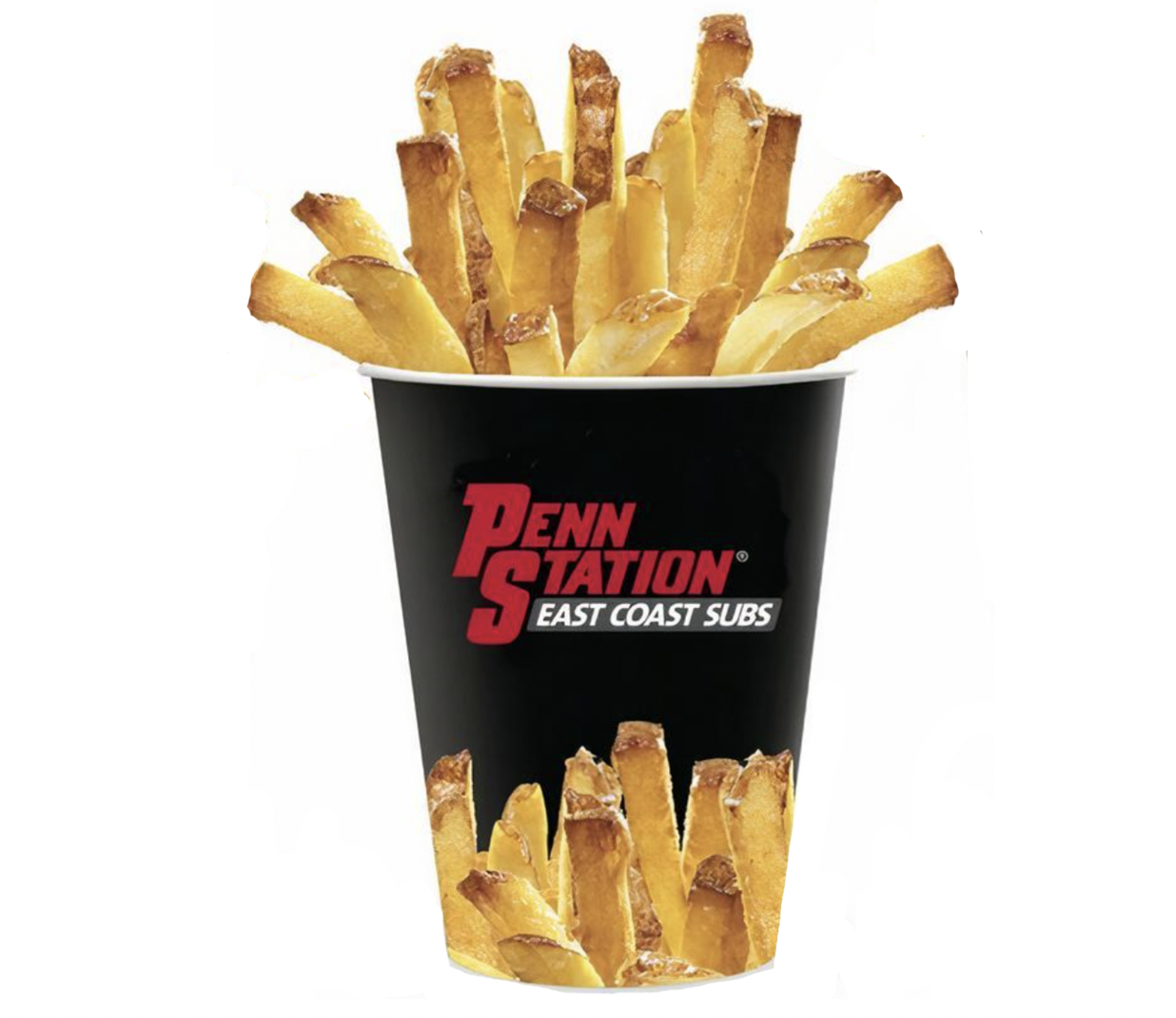 Penn Station Fries