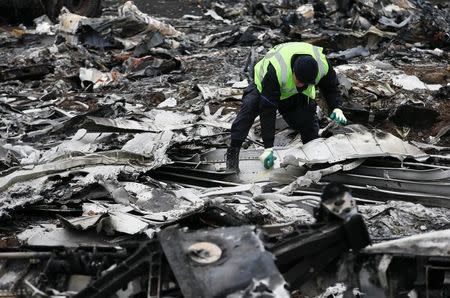 A Dutch investigator works at the site where the downed Malaysia Airlines flight MH17 crashed, near the village of Hrabove (Grabovo) in Donetsk region, eastern Ukraine November 16, 2014. REUTERS/Maxim Zmeyev