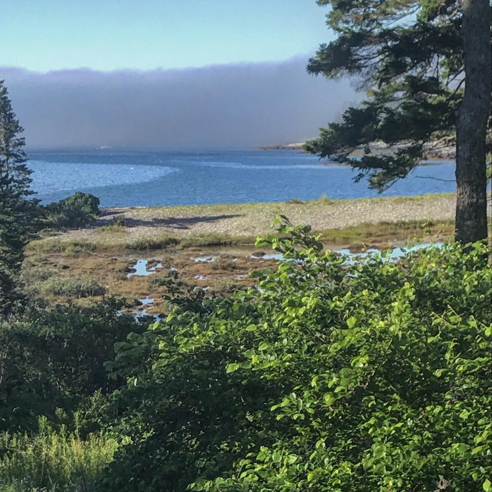 This view on Mount Desert Island in Maine inspired author Alice Elliott Dark when she was building the world in which her novel, "Fellowship Point," takes place.
