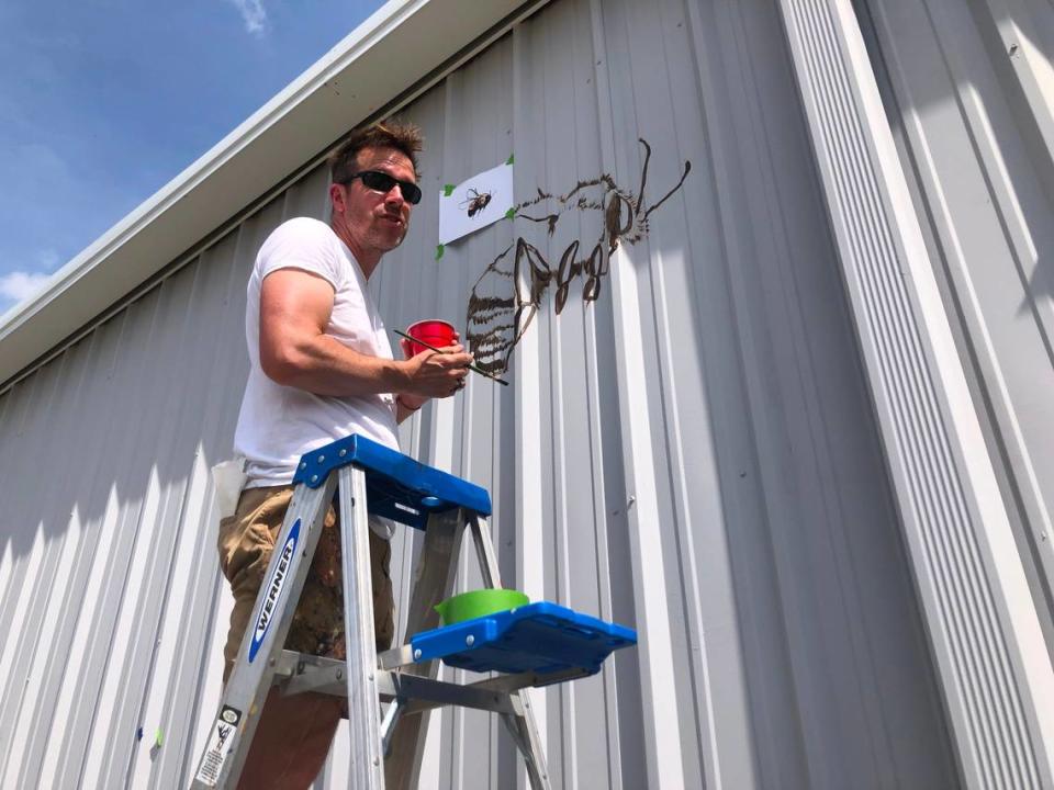 Renowned muralist Matt Willey works on a rusty patched bumblebee in a new mural taking shape on the Red Wolf Center in the Pocosin Lakes National Wildlife Refuge outside Columbia.