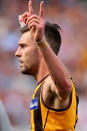 <p>Jack Gunston celebrates another Hawthorn goal.</p>