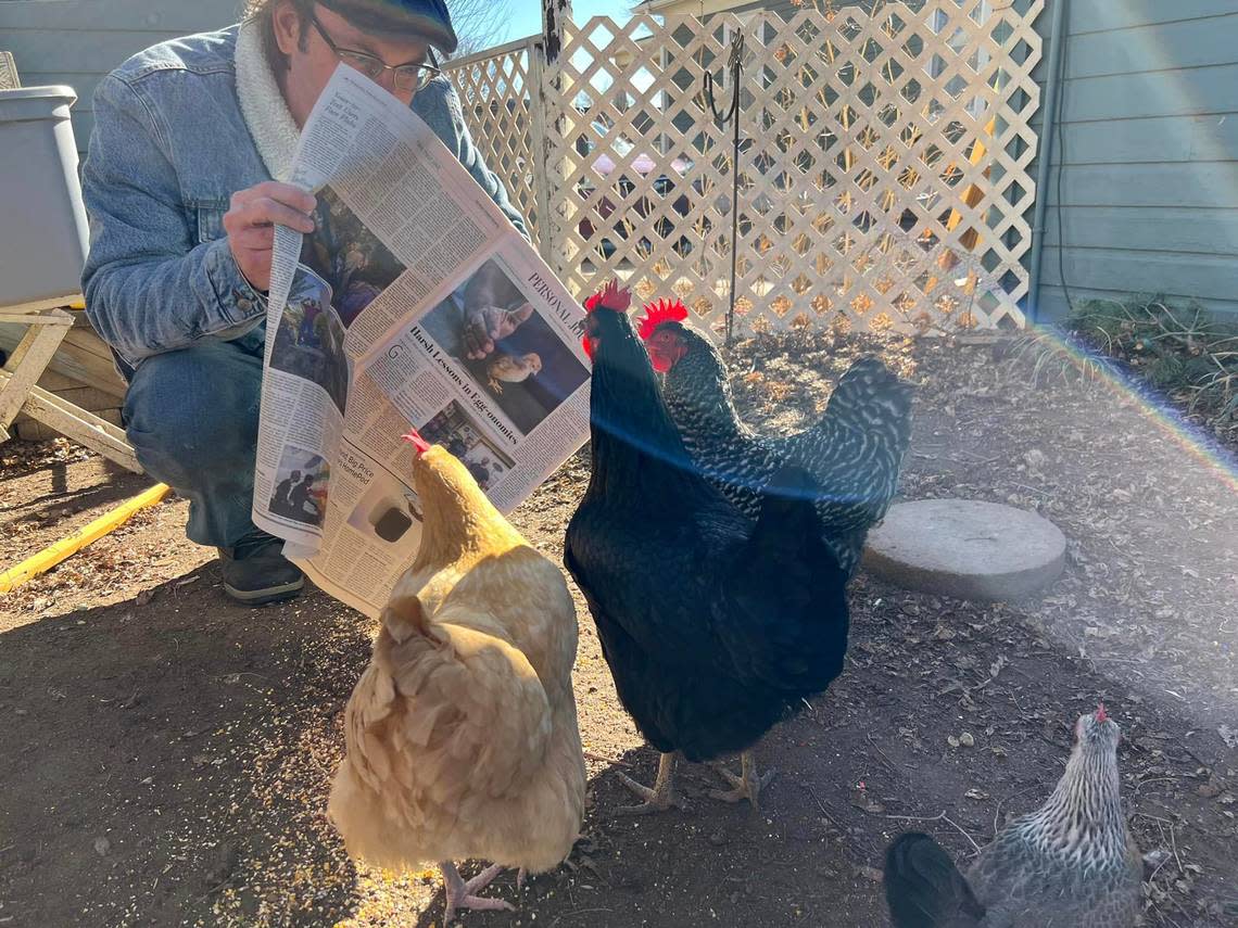 Newton resident Justin Kraemer shares a copy of The Wall Street Journal with his chickens after they all appeared in a story about the high costs of eggs, even for backyard chicken farmers.