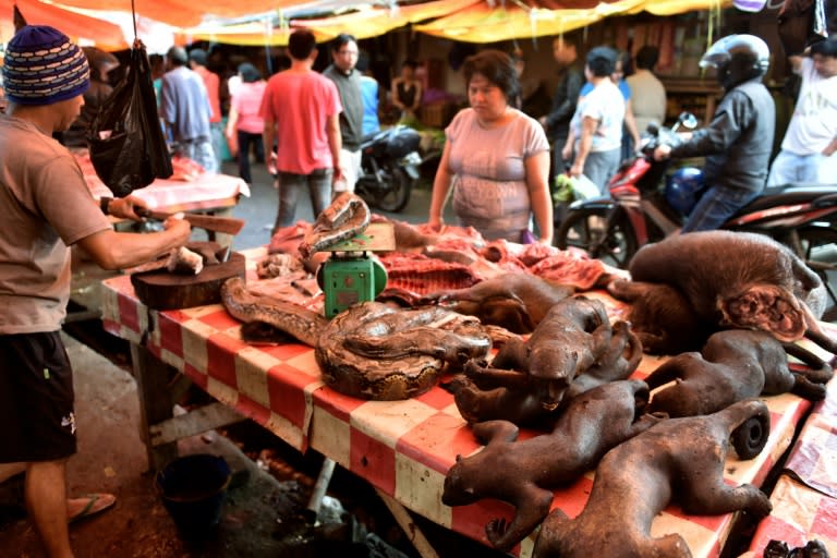 A vendor offers various exotic animals, including pythons and crested black macaques, to his customers at Tomohon market in northern Sulawesi