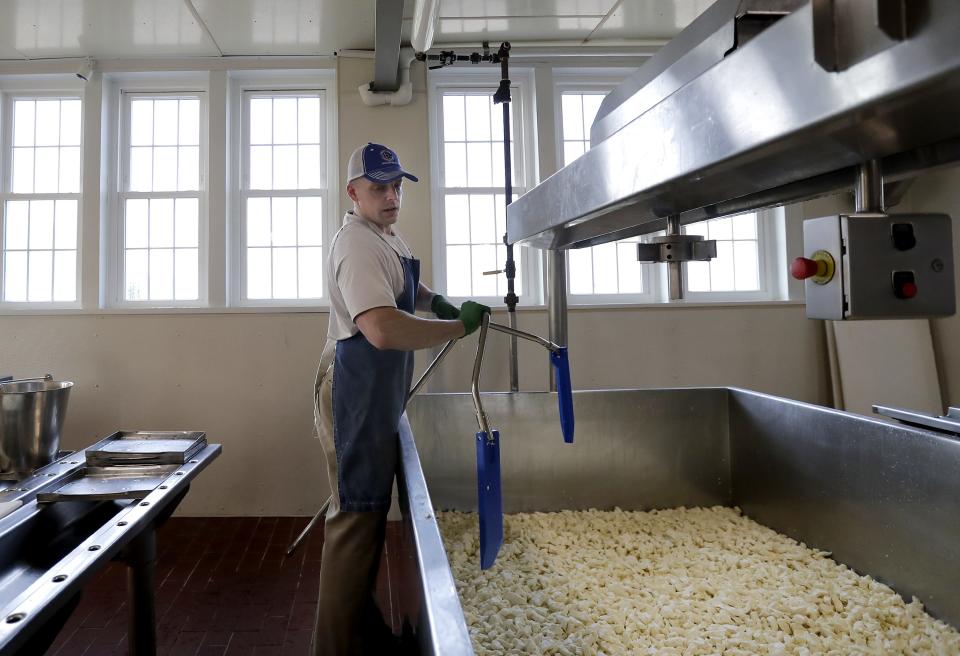 Union Star cheesemaker Orin Freeman makes mozzarella cheese May 23 at the Zittau factory.
