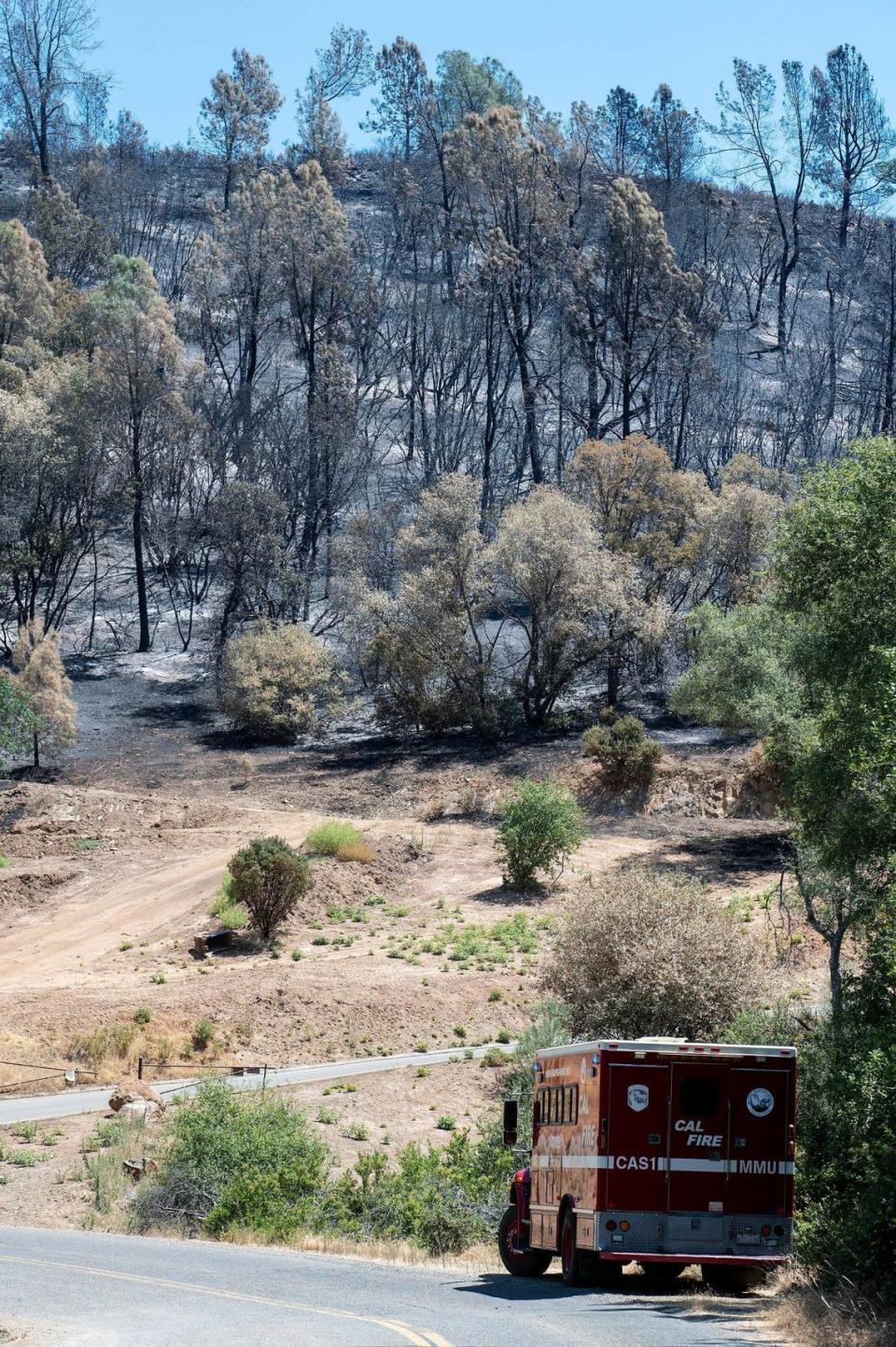 A section of charred hillside in Mariposa County, Calif., on Wednesday, July 10, 2024. According to fire officials, the wildfire started on July 4 in the area of French Camp Road and Highway 49 North in Mariposa County. The cause of the fire is under investigation.