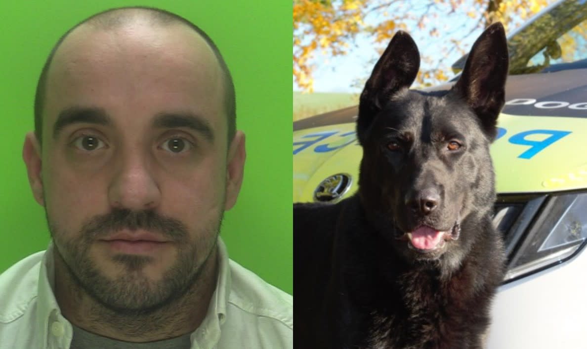 Police Dog Reno tracked down Gary Pearson using the scent of his woolly hat. (SWNS)