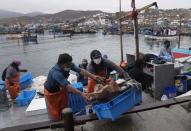 Workers move a box of freshly caught squid in Pucusana, Peru, Monday, Sept. 20, 2021. To compete with the Chinese, the local fishermen of Pucusana assume ever-greater risks, venturing farther out from home and spending as much as a week at sea to haul in what they used to catch in a single day close to shore. (AP Photo/Martin Mejia)