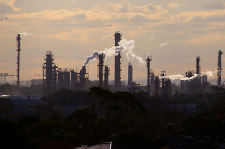 FILE PHOTO - Birds and a plane are seen flying above emission from the chimneys of a chemical plant located near Port Botany in Sydney, Australia June 2, 2017. REUTERS/David Gray/File Photo