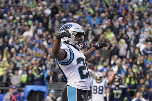 NFL Carolina Panthers Football Field Runner