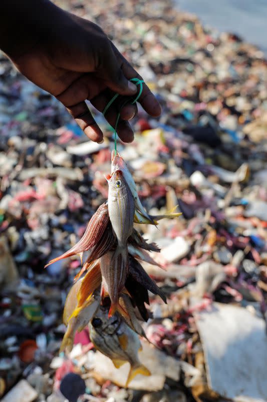 A fisherman shows what he says is the decreased size of his catch due to overfishing in the impoverished Nan Palan area of Port-de-Paix