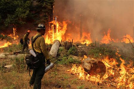 Firefighters burn a fire break at the Rim Fire in Yosemite National Park in this September 1, 2013 handout photo. REUTERS/Mike McMillan/USFS/Handout