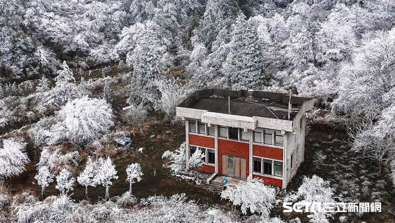 台灣山區出現雪景，吸引大批民眾上山朝聖。（圖／網友授權提供）