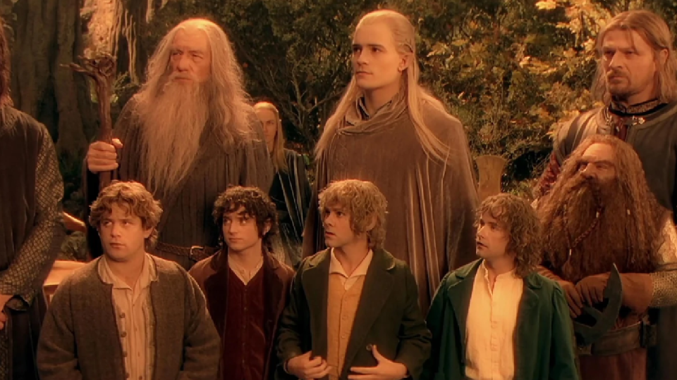 The Fellowship in The Lord of the Rings: The Fellowship of the Ring.