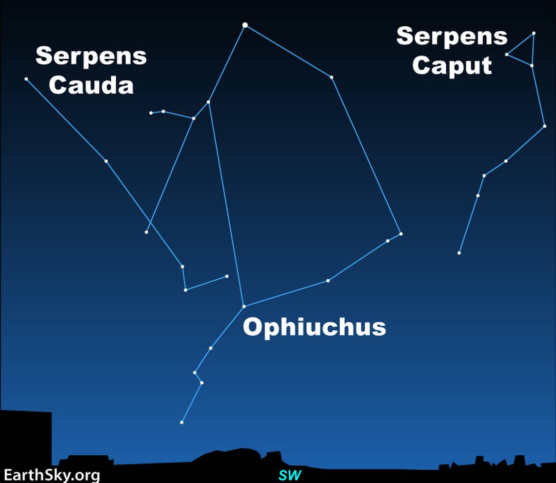 The constellation of Serpens the Snake lies in 2 pieces on either side of Ophiuchus the Snake Handler. Serpens Cauda is the Serpent’s Tail on the left, while Serpens Caput is the Serpent’s Head on the right.