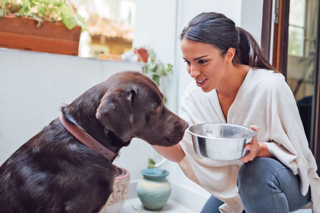 woman giving dog bowl of food with calcium supplements