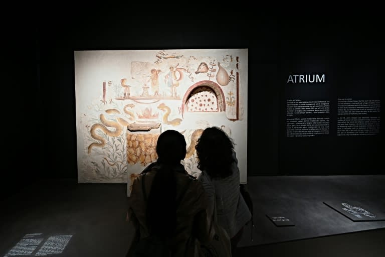 Visitantes na exposição sobre arte e sensualidade em Pompeia (AFP/Andreas SOLARO)