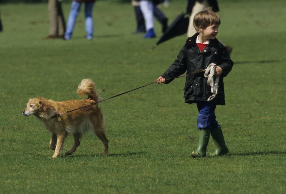 Prince William walking his dog