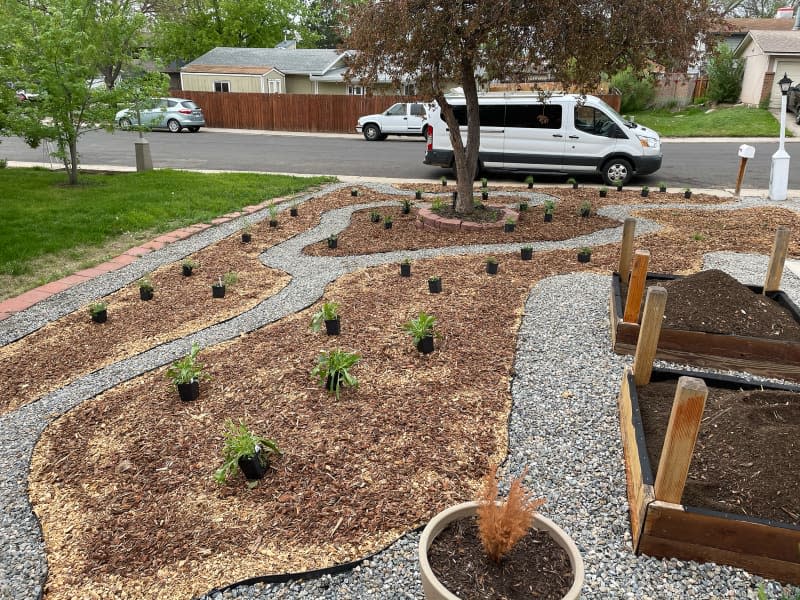 Potted plants laid out in yard with mulch and rocks.