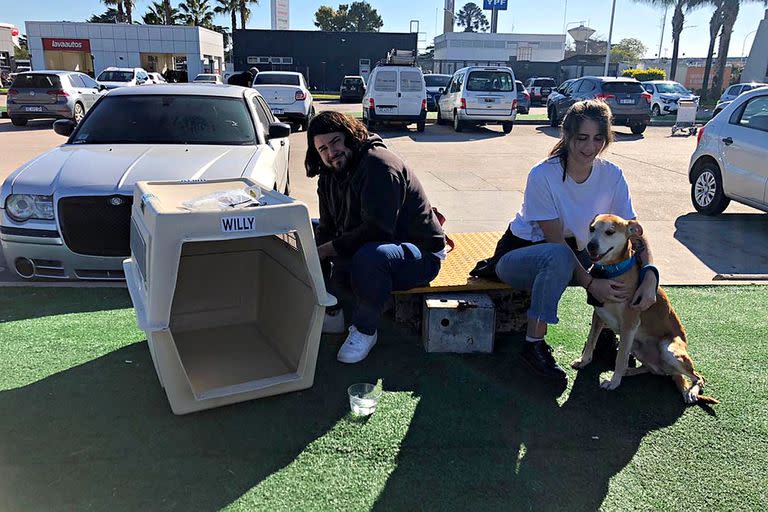 Camila Carosella y su pareja Nicolás Ladino juntaron sus ahorros y hace dos meses se instalaron en Valencia con Willy, el perro