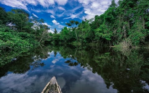 Kayaking in the Amazon basin - Credit: Getty
