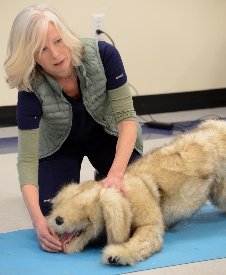 Dr. Jean Bresciani teaches how to position a dog during an emergency exam at Upper Cape Tech in their vet tech center which hosted a group of first responders for a training session in how to treat K9 dogs under the new Nero's Law.