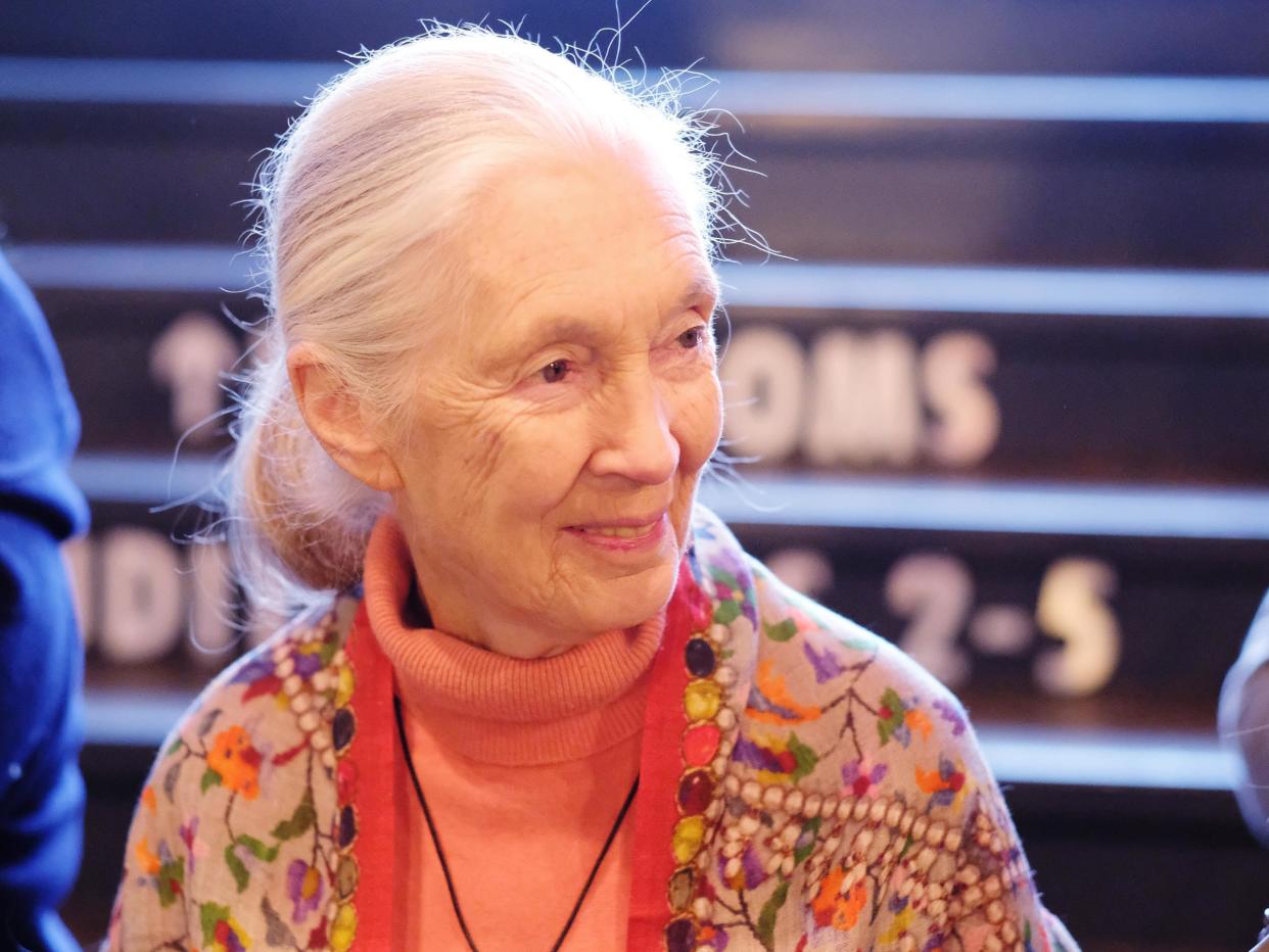 Primatologist Jane Goodall has since been echoed by prominent psychologist Professor Dan P McAdams