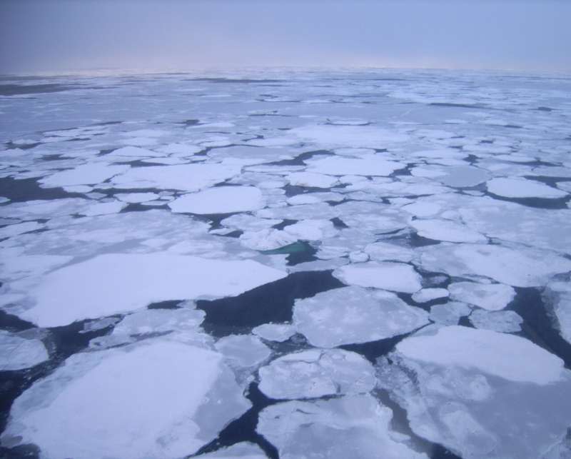 受北俄羅斯異常暖流、氣候變遷影響，拉普捷夫海面臨延遲結冰。（截自ESA官網）