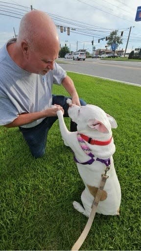 Bob Sheeler, a volunteer with the Cape Coral Animal Shelter, drove to Georgia to recover Stanley.