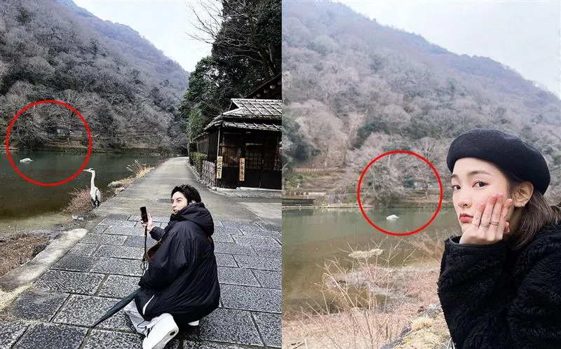 曹佑寧照片與王淨背景一模一樣疑似都在京都嵐山。（組合圖／翻攝自王淨／曹佑寧 IG）