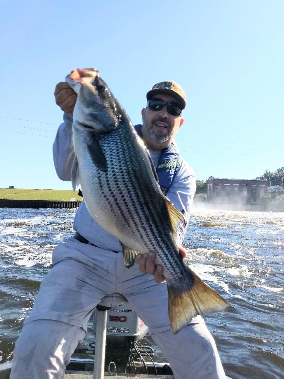 Mike Mercuri Jr with a monster striped bass caught below the dam.