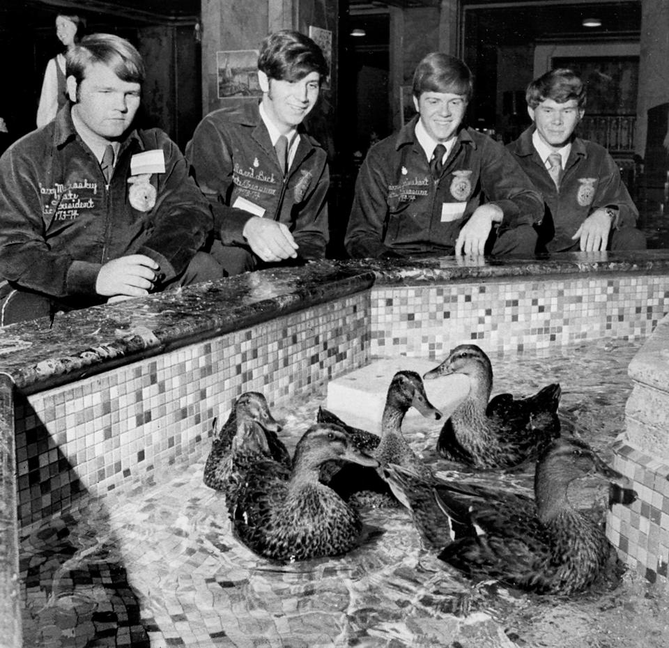 Future Farmers of America members Larry McCroskey, left, of Ward, Arkansas; David Beck of Eddyville, Kentucky; Barry Rinehart of Booneville, Mississippi; and John E. Townsend of Paris, Tennessee, stop to check out the ducks in the lobby fountain on their way to the Rotary Club at the Sheraton Peabody Hotel on Sept. 5, 1973.