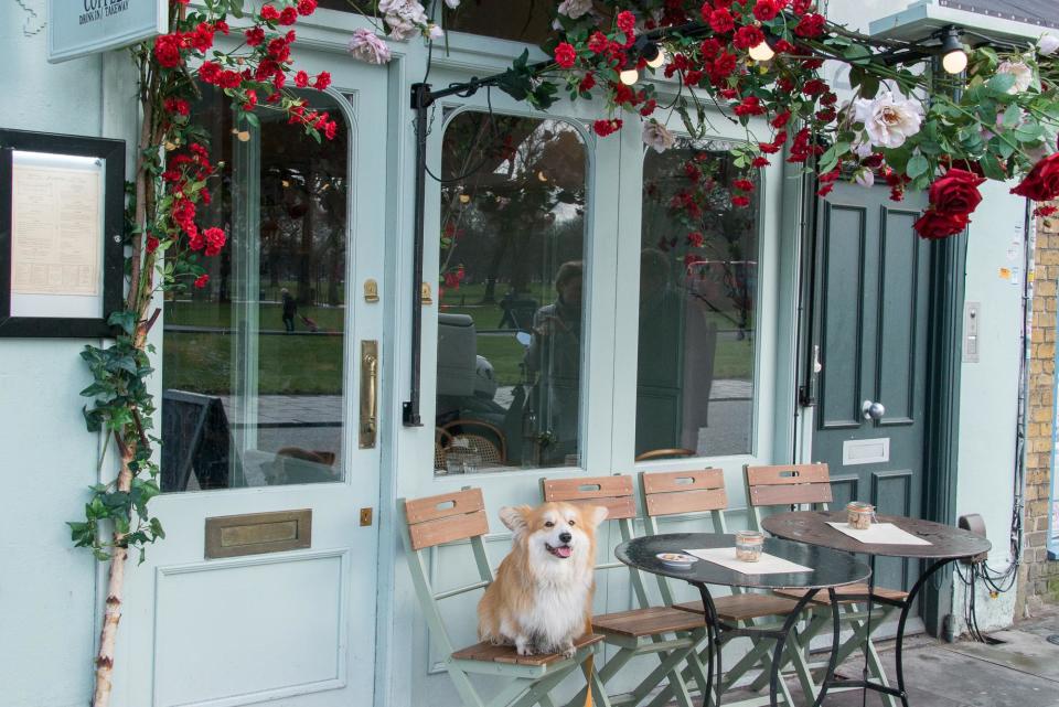 The best dog friendly restaurants in London