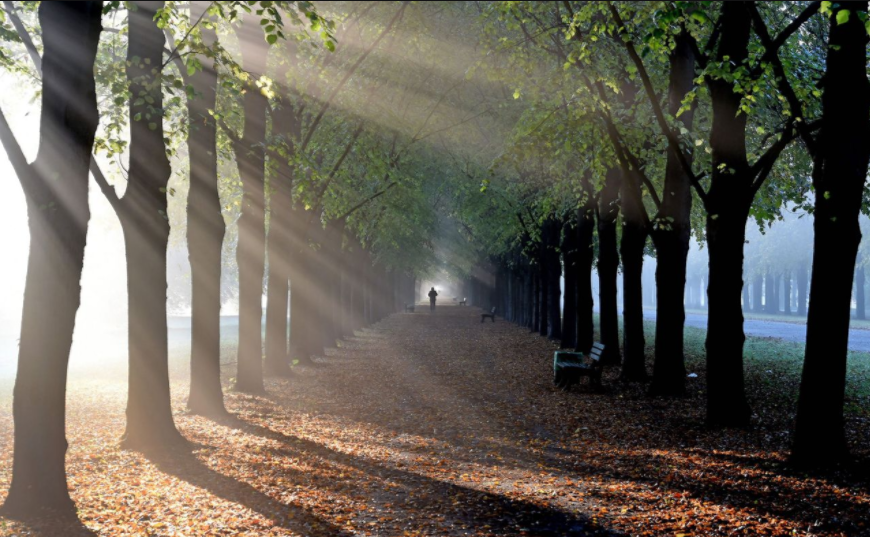 Herbst in Niedersachsen