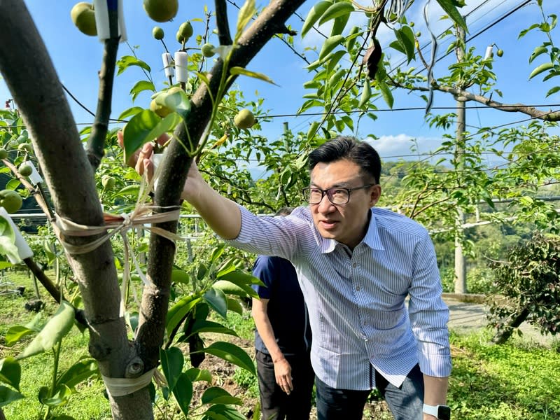 冰雹砸傷台中梨梅桃  江啟臣前往會勘 台中市東勢區日前突下冰雹，造成果園內梨、梅、桃 子農損嚴重，立法院副院長江啟臣（前）2日前往會 勘，要求相關單位提出協助方案。 （立法院副院長江啟臣提供） 中央社記者趙麗妍傳真  113年4月2日 