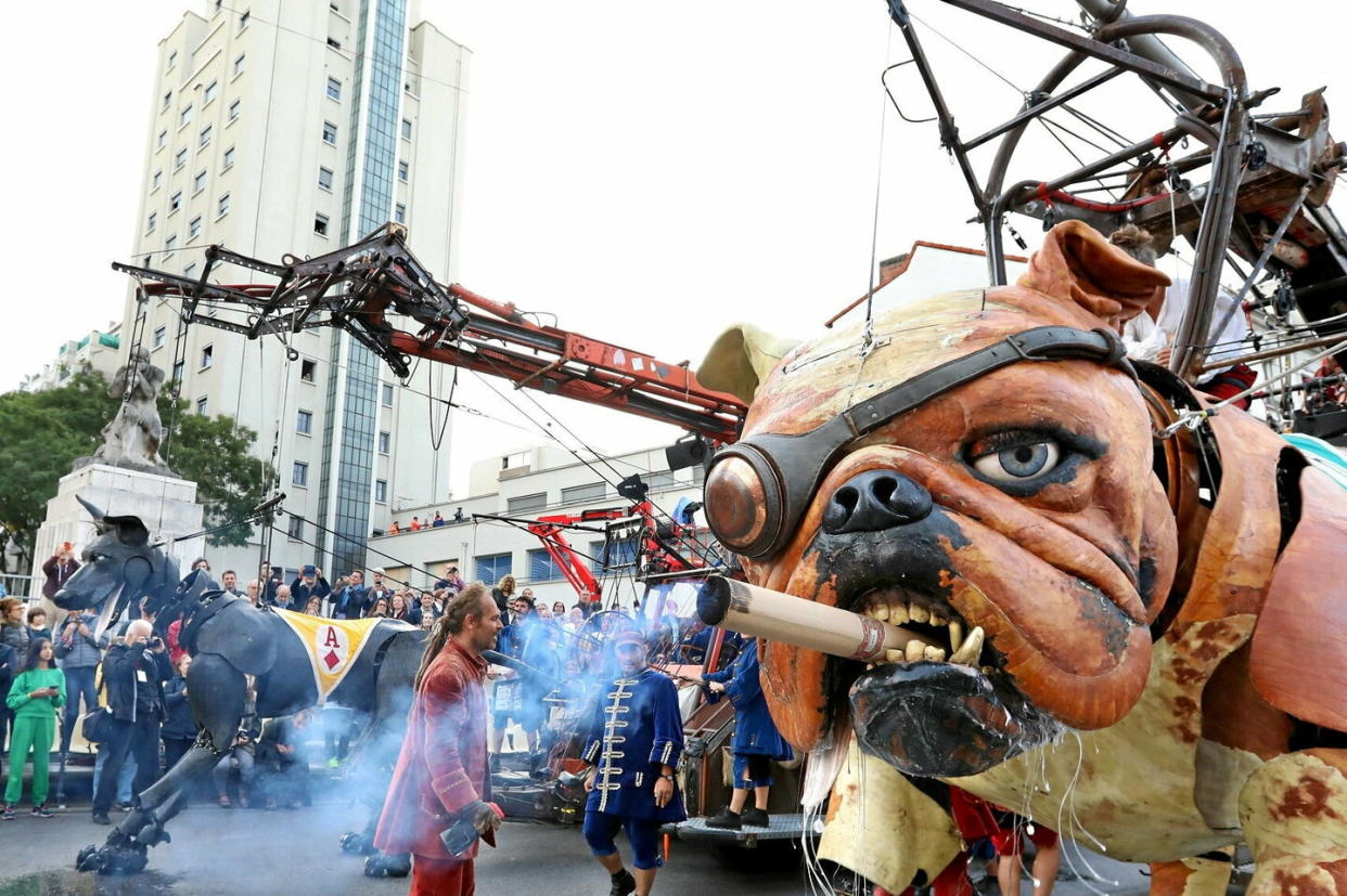 Né à Villeurbanne l'an dernier, Bull Machin (à droite) défiera le chien sacré aztèque El Xolo (à gauche).   - Credit:Gilles Michallet