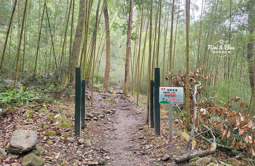 台中｜八仙山國家森林遊樂區