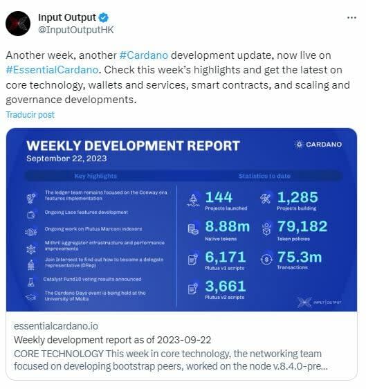 Aumento en la actividad de desarrollo de Cardano